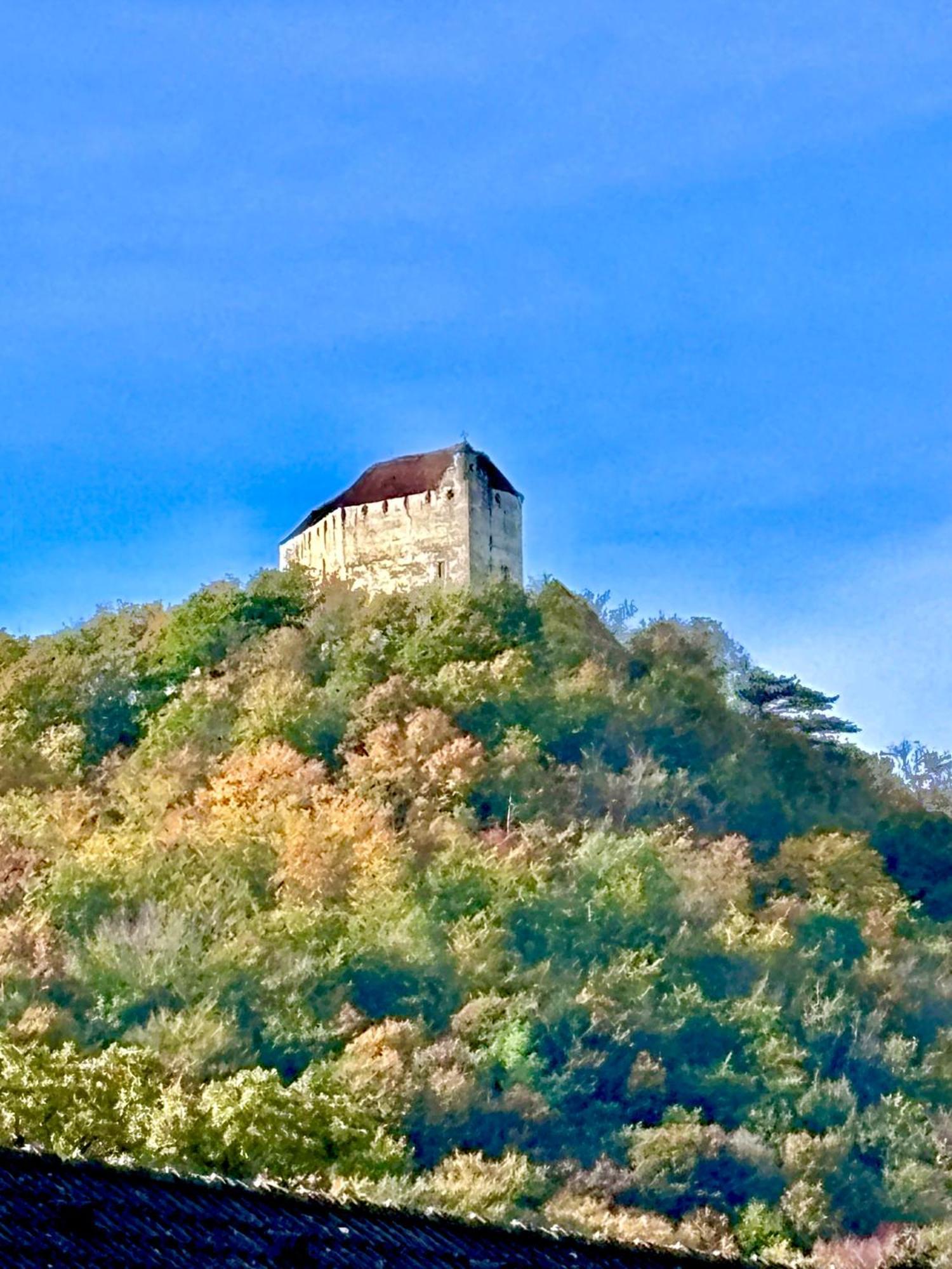 Burgblick Apartment- 60Qm, Kueche, Waschmaschine, Streamingdienste Seebenstein Exteriör bild